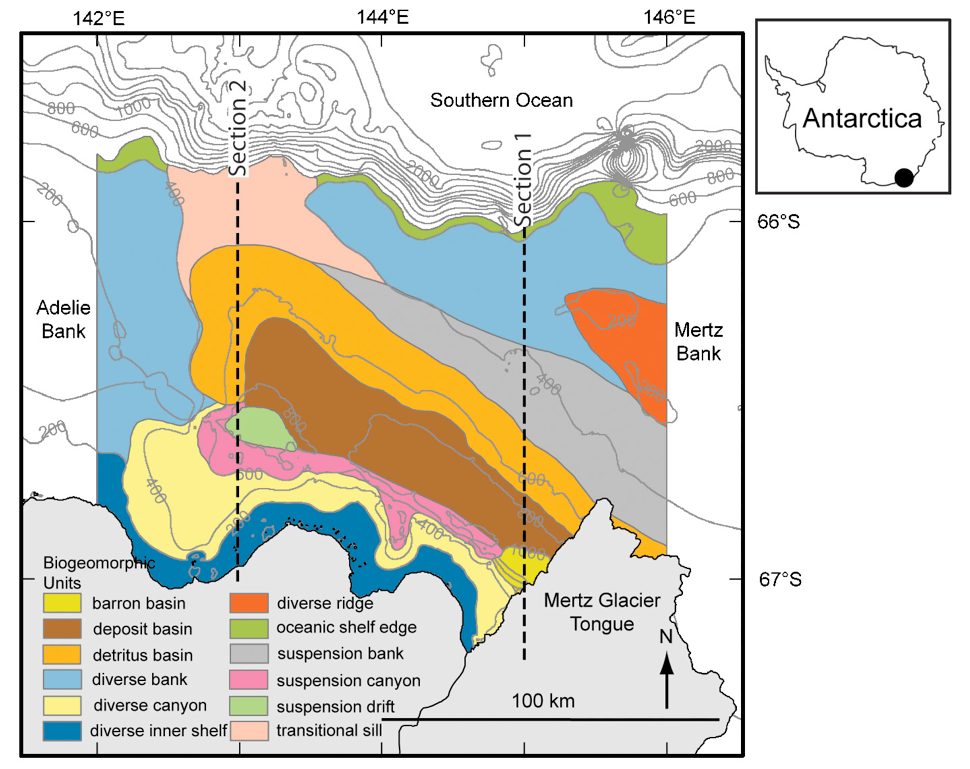Bathymetry (contours) and biotopes (colours) of the George V Land shelf, Antarctica, after Beaman and Harris (2005). 